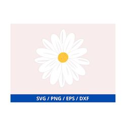 daisy flower svg, daisy flower png daisy, svg, png, dxf, flower svg, spring svg, digital download, silhouette, glowforge