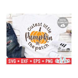 cutest little pumpkin in the patch svg - dxf - eps - fall - autumn - saying - cut file - fall svg - silhouette - cricut