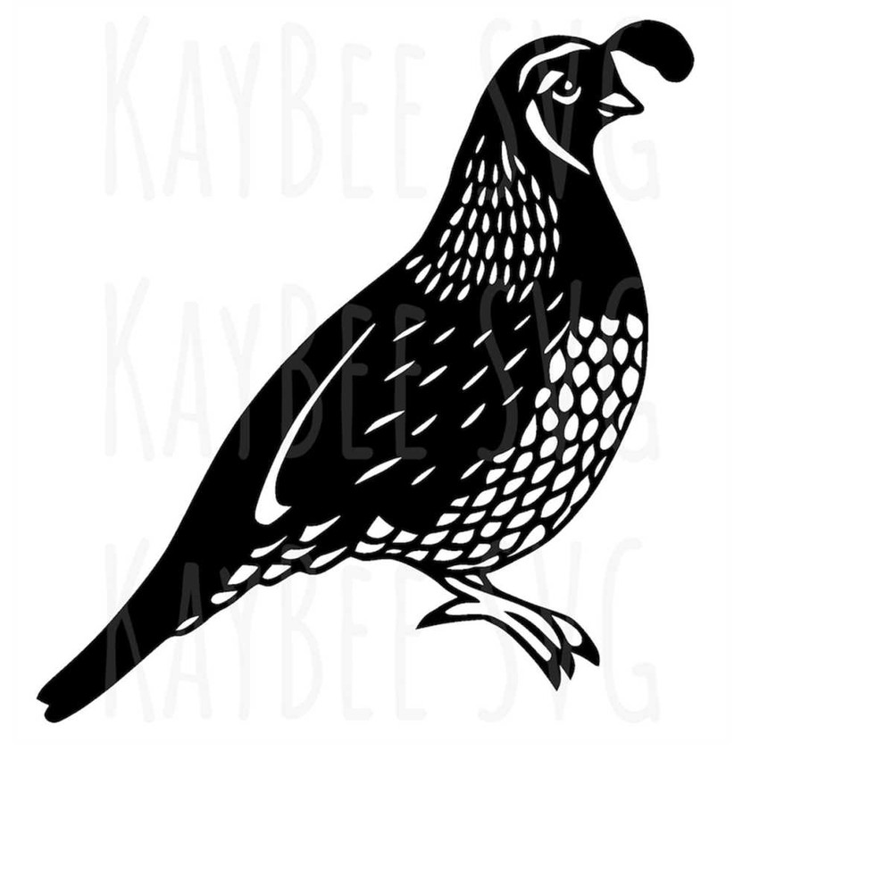 MR-16920239655-quail-bird-svg-png-jpg-clipart-digital-cut-file-download-for-image-1.jpg