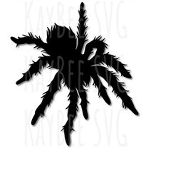 Tarantula Spider SVG PNG JPG Halloween Clipart Cut File Download for Cricut Silhouette Sublimation Printable Art - Perso