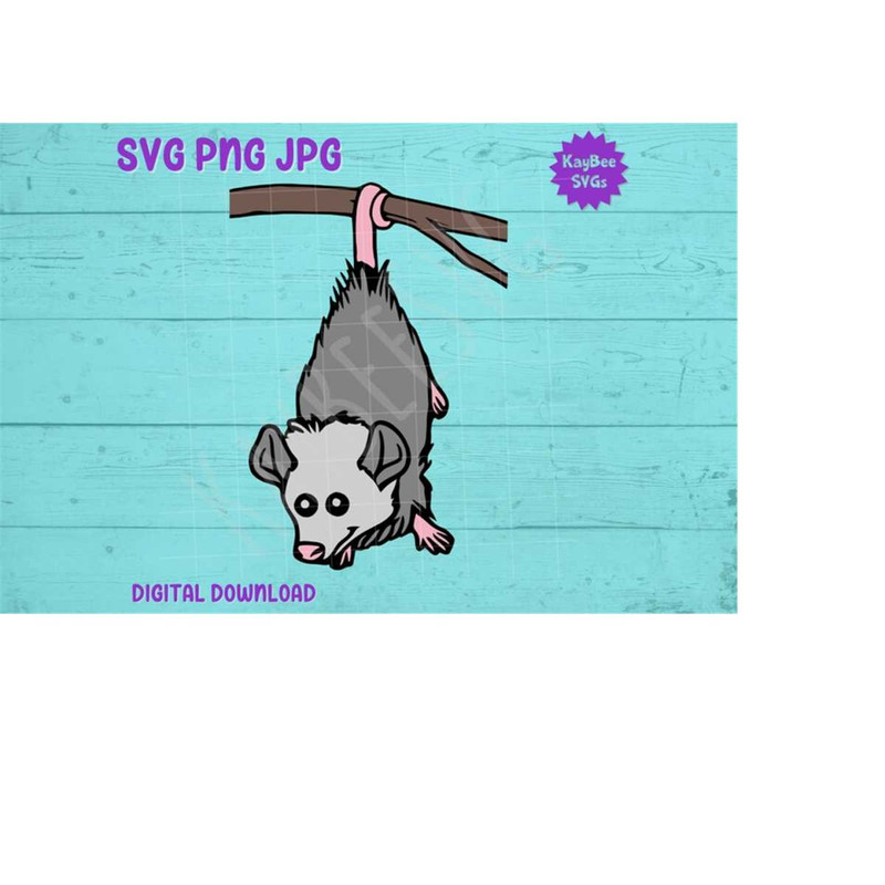MR-169202391016-illustrated-possum-hanging-by-its-tail-from-a-branch.jpg