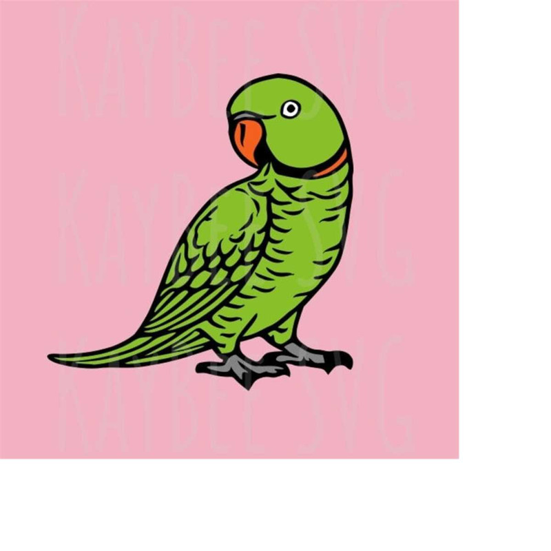 MR-169202391231-indian-ringnecked-parakeet-bird-svg-png-jpg-clipart-digital-image-1.jpg