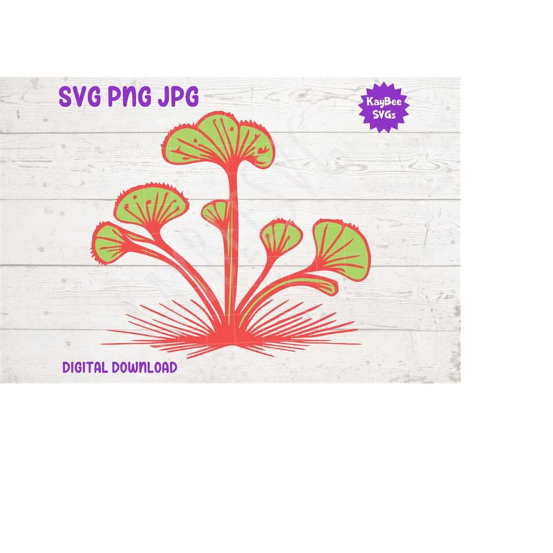 MR-169202391434-sundew-flower-plant-svg-png-jpg-clipart-digital-cut-file-image-1.jpg