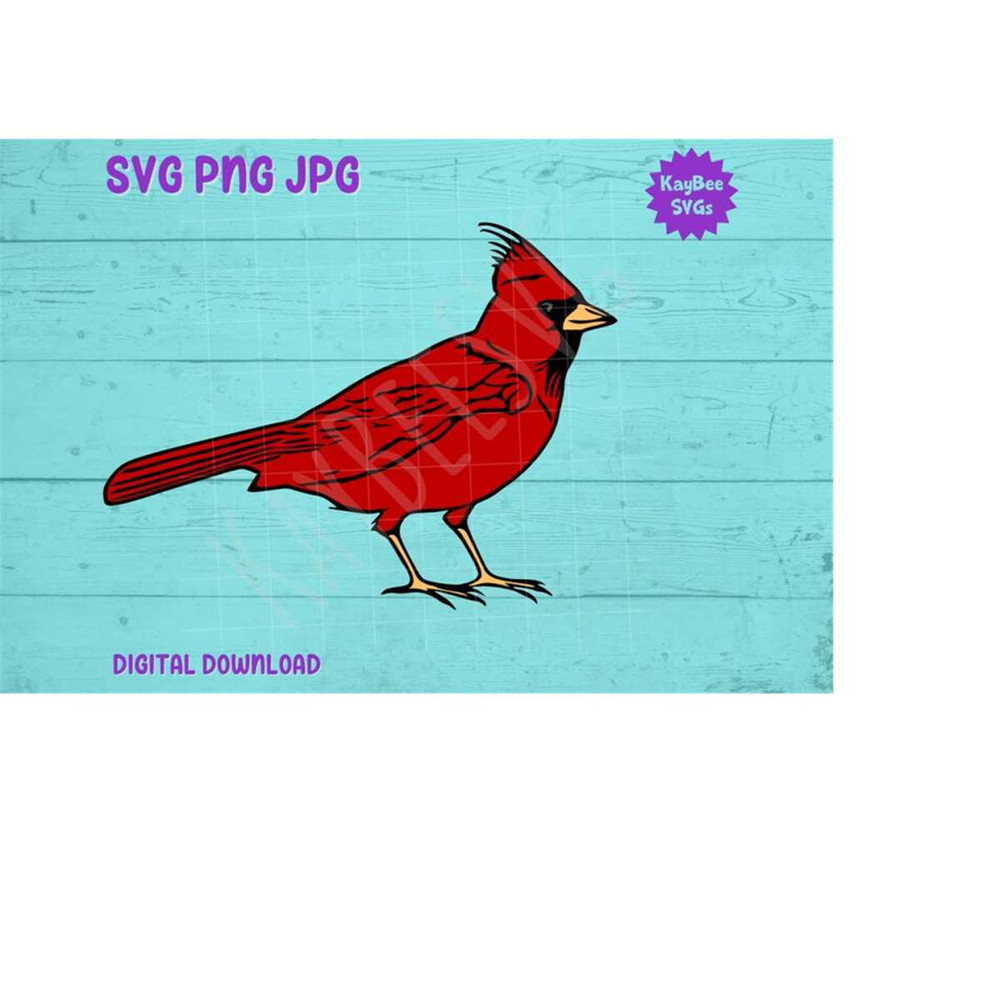 MR-169202392539-cardinal-bird-svg-png-jpg-clipart-digital-cut-file-download-image-1.jpg