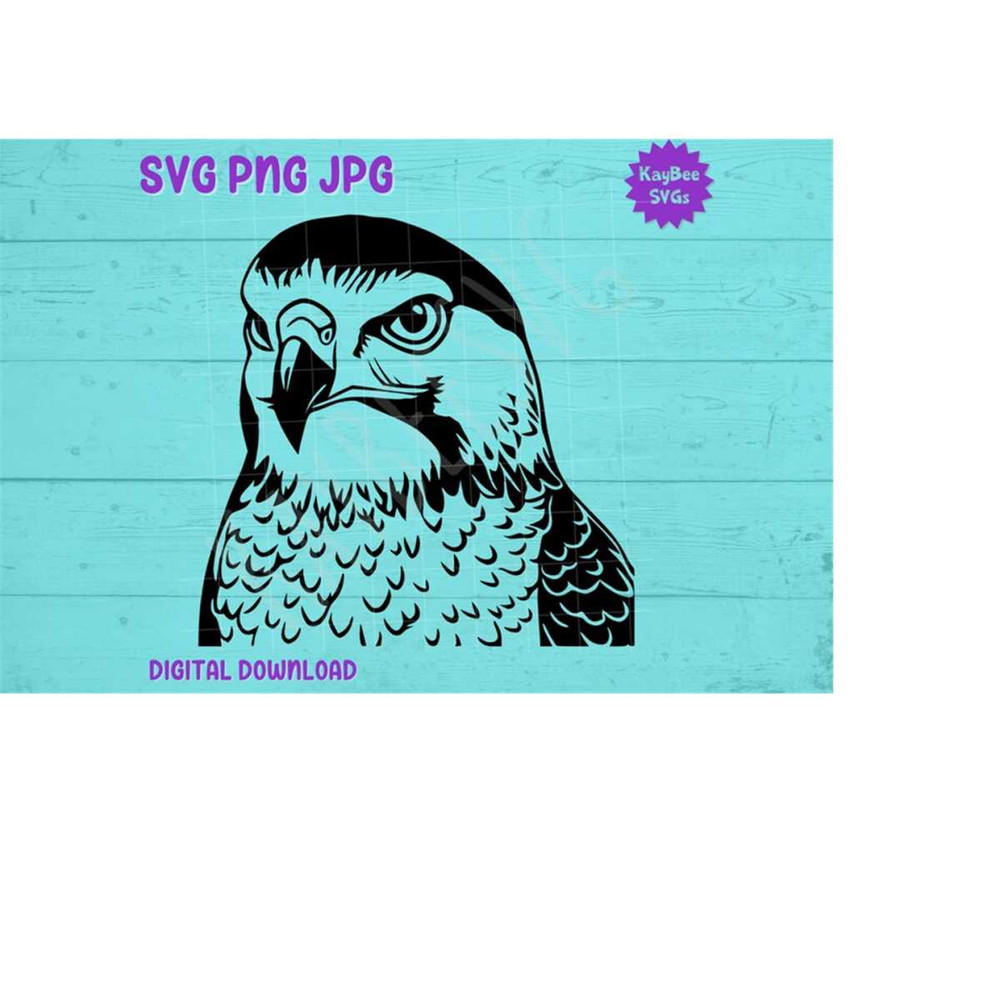 MR-169202393326-falcon-bird-of-prey-svg-png-jpg-clipart-digital-cut-file-image-1.jpg