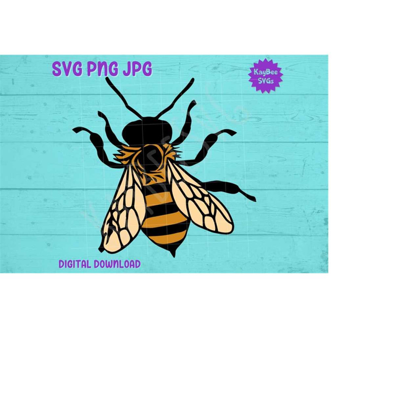 MR-169202393425-honey-bee-svg-png-jpg-clipart-cut-file-download-for-cricut-image-1.jpg