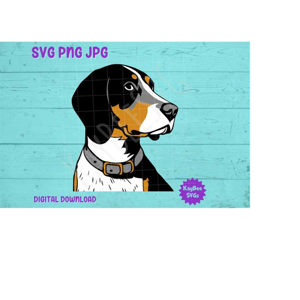 MR-169202393650-bluetick-coonhound-dog-svg-png-jpg-clipart-digital-cut-file-image-1.jpg