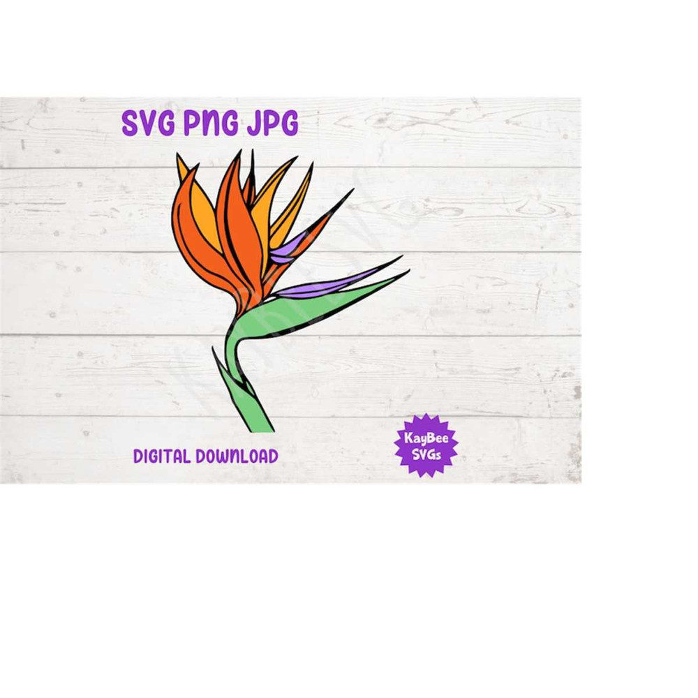 MR-16920239403-bird-of-paradise-flower-svg-png-jpg-clipart-digital-cut-file-image-1.jpg