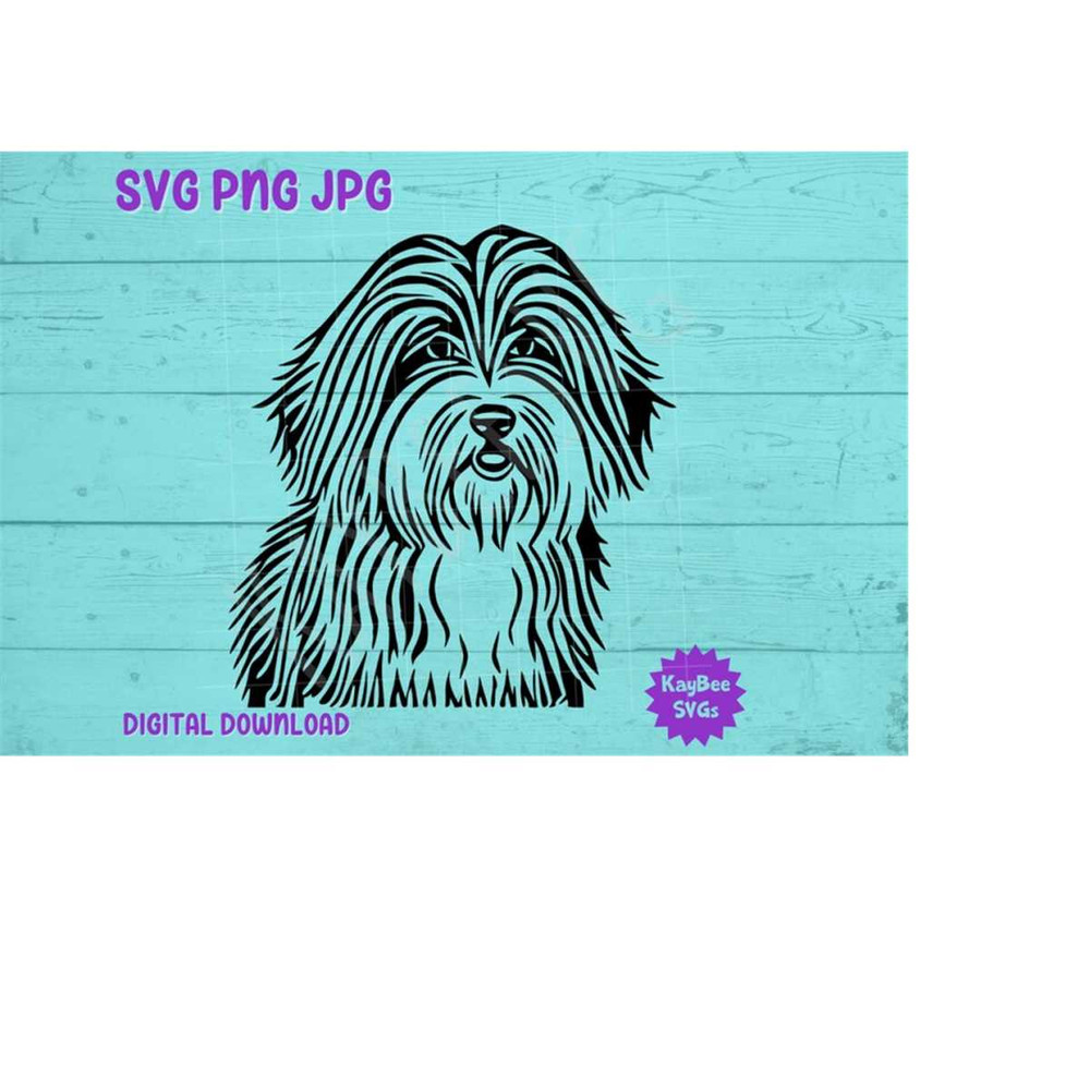 MR-169202394749-bearded-collie-dog-svg-png-jpg-clipart-digital-cut-file-image-1.jpg