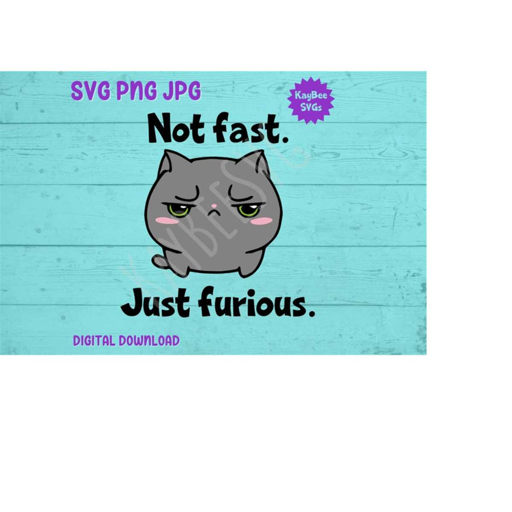 MR-169202310722-not-fast-just-furious-fat-angry-cat-svg-png-jpg-clipart-cut-image-1.jpg