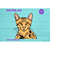 MR-1692023102041-savannah-cat-svg-png-jpg-clipart-digital-cut-file-download-for-image-1.jpg