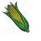 MR-1692023102216-corn-on-the-cob-svg-png-jpg-clipart-digital-cut-file-download-image-1.jpg
