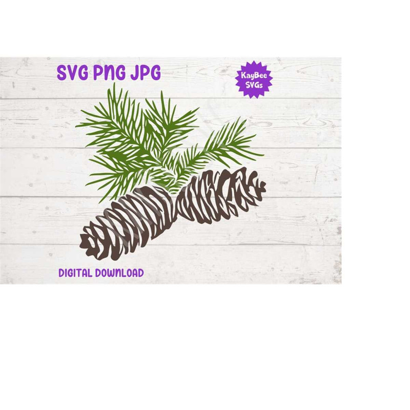 MR-1692023102247-pine-cones-svg-png-jpg-clipart-digital-cut-file-download-for-image-1.jpg