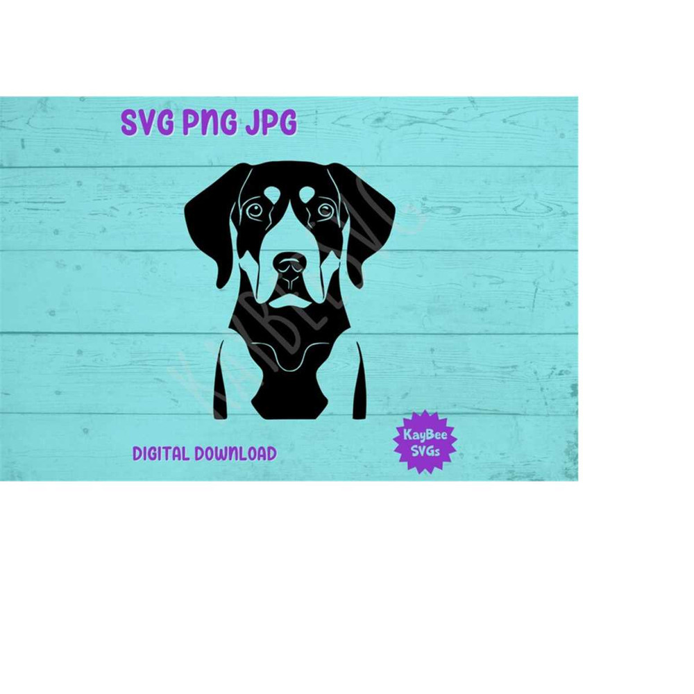MR-1692023102346-coonhound-dog-svg-png-jpg-clipart-digital-cut-file-download-image-1.jpg