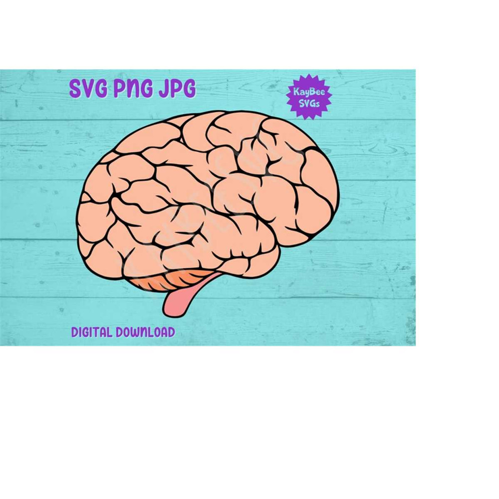 MR-1692023103512-brain-svg-png-jpg-clipart-digital-cut-file-download-for-cricut-image-1.jpg