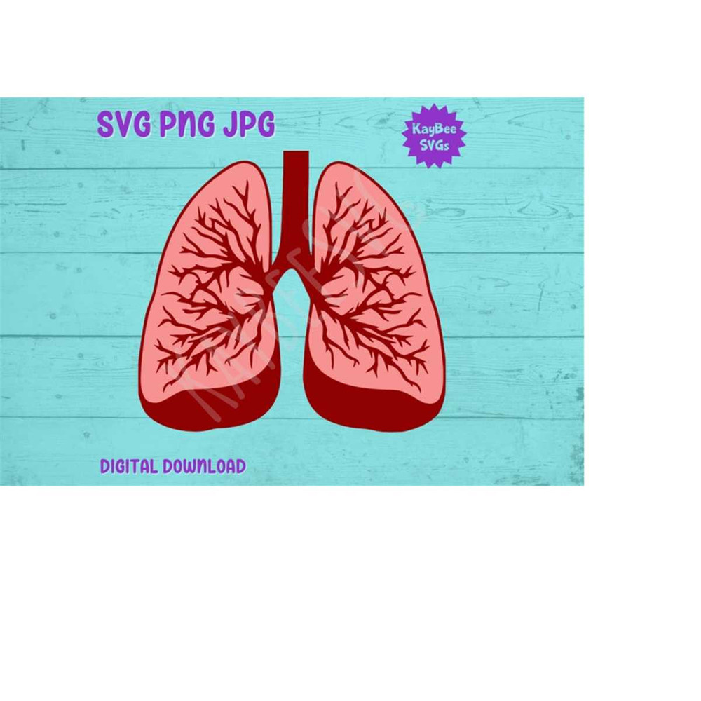 MR-169202310391-anatomical-lungs-svg-png-jpg-clipart-digital-cut-file-download-image-1.jpg