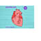 MR-1692023103933-anatomical-heart-organ-svg-png-jpg-clipart-digital-cut-file-image-1.jpg