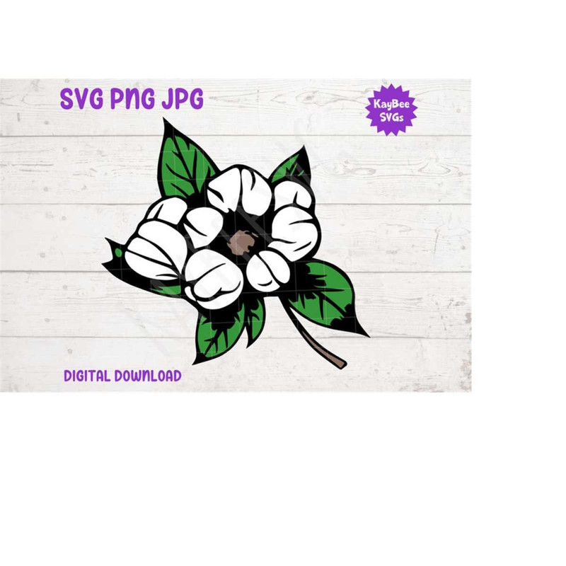 MR-1692023104228-cotton-blossom-svg-png-jpg-clipart-digital-cut-file-download-image-1.jpg
