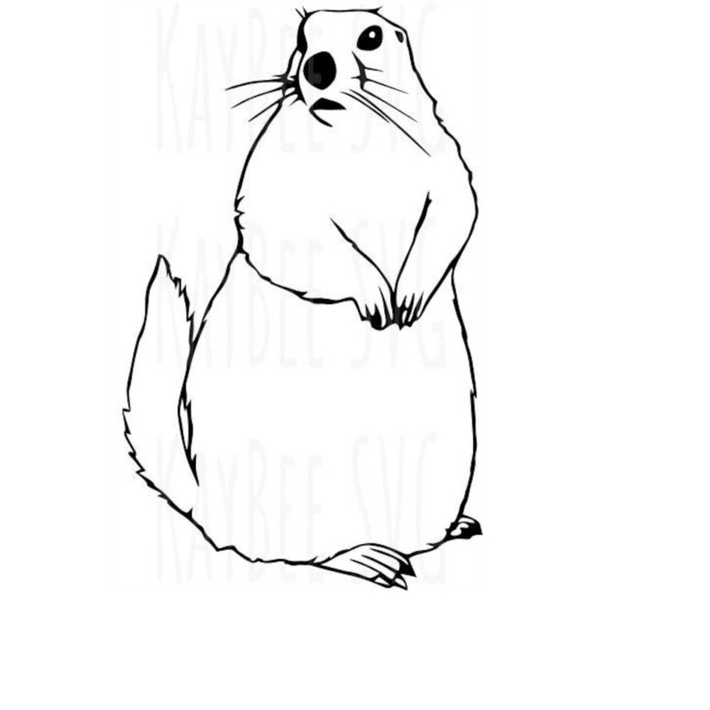MR-1692023104758-gopher-groundhog-svg-png-jpg-clipart-digital-cut-file-download-image-1.jpg