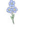 MR-169202310491-forget-me-not-flowers-svg-png-jpg-clipart-digital-cut-file-image-1.jpg