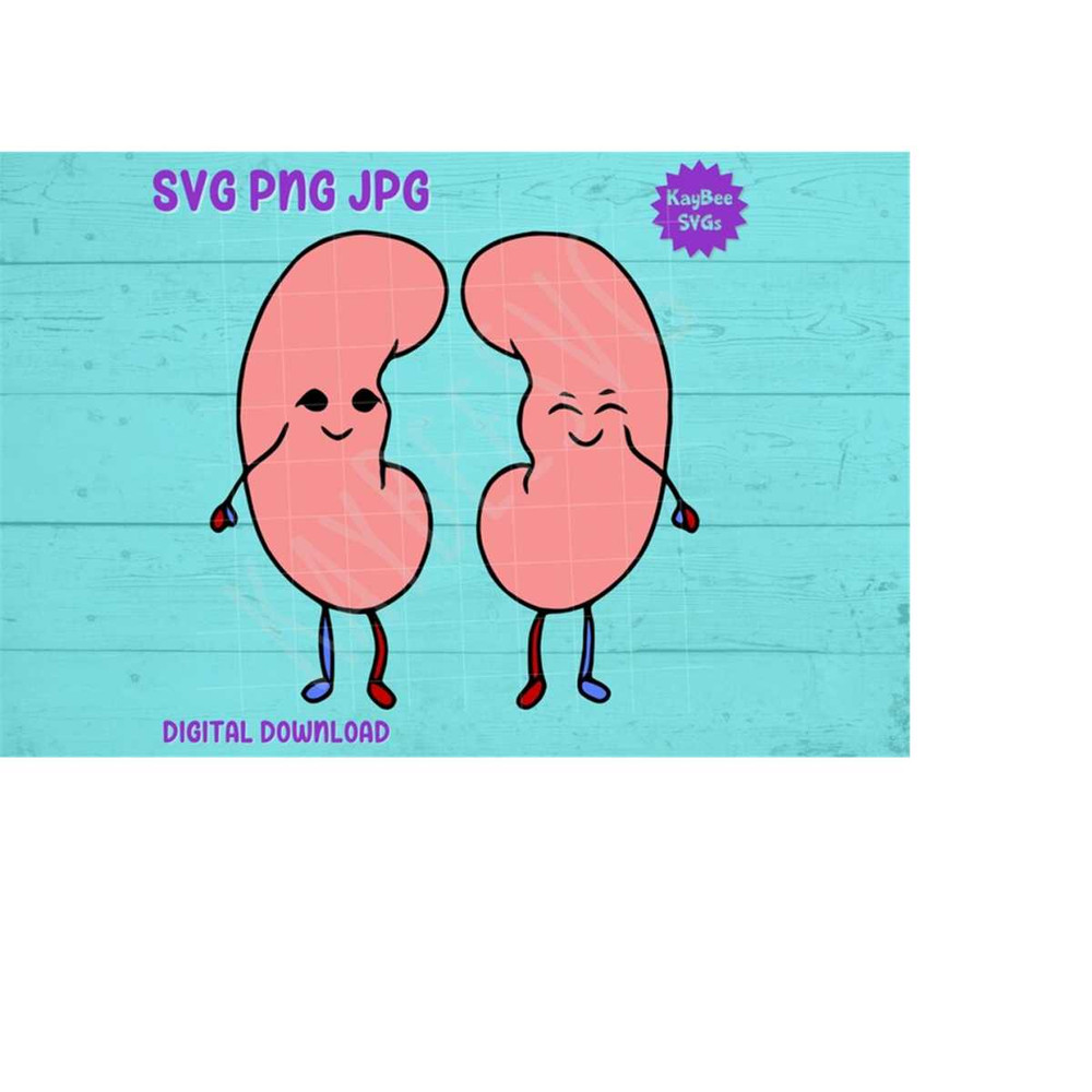 MR-1692023105318-cute-kidneys-svg-png-jpg-clipart-digital-cut-file-download-for-image-1.jpg