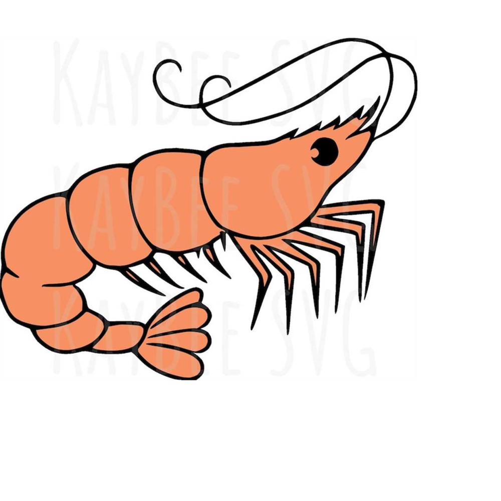 MR-1692023105555-shrimp-svg-png-jpg-clipart-digital-cut-file-download-for-image-1.jpg