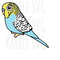 MR-169202311520-budgie-parakeet-bird-svg-png-jpg-clipart-digital-cut-file-image-1.jpg