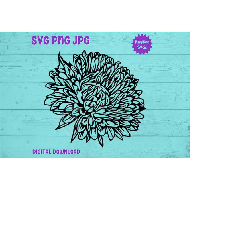 MR-1692023111753-chrysanthemum-mums-flower-svg-png-jpg-clipart-digital-cut-file-image-1.jpg