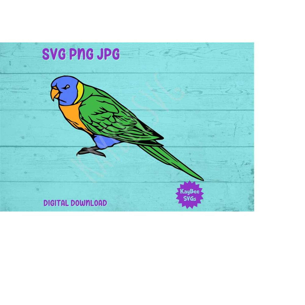 MR-1692023112117-rainbow-lorikeet-bird-svg-png-jpg-clipart-digital-cut-file-image-1.jpg