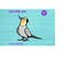 MR-169202311247-cockatiel-bird-svg-png-jpg-clipart-digital-cut-file-download-image-1.jpg