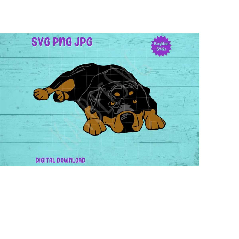 MR-1692023113242-illustration-of-a-rottweiler-dog-laying-down.jpg