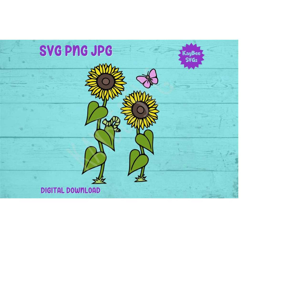 MR-169202311436-sunflowers-svg-png-jpg-clipart-digital-cut-file-download-for-image-1.jpg