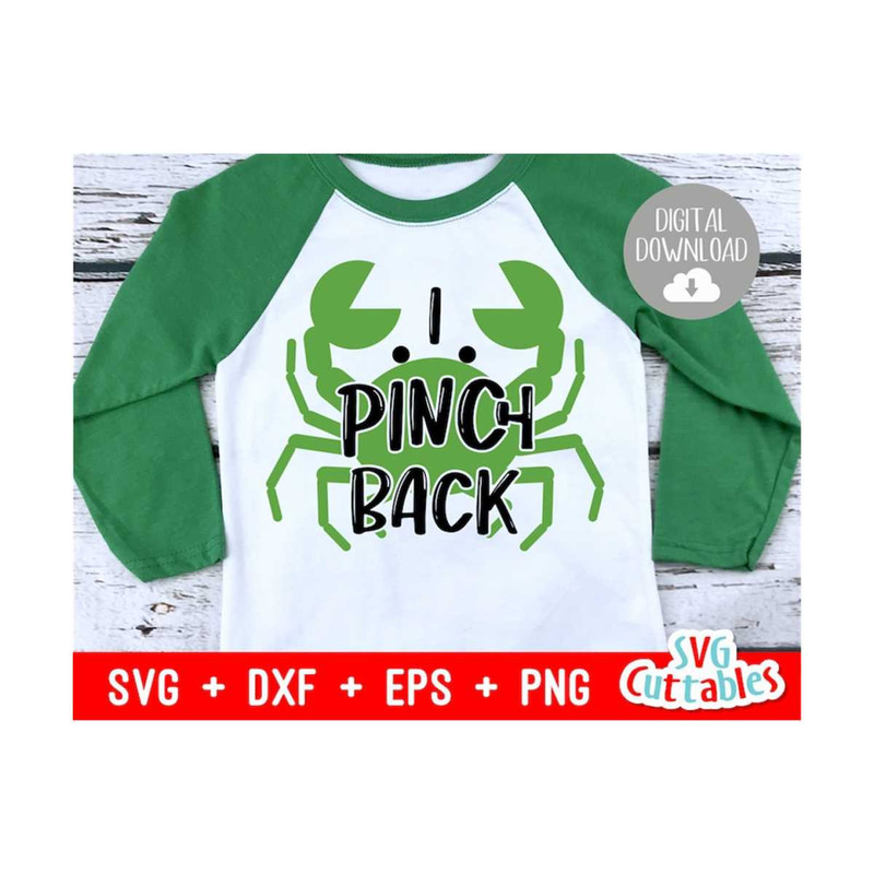 MR-169202312116-st-patricks-day-svg-i-pinch-back-dxf-eps-image-1.jpg