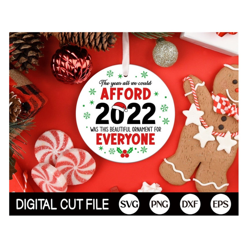 MR-1692023141333-funny-christmas-2022-ornaments-svg-the-year-all-we-could-image-1.jpg