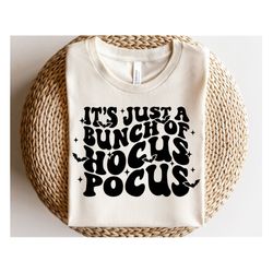 it's just a bunch of hocus pocus svg, halloween svg, witch svg, hocus pocus png, retro halloween shirt svg, png, svg fil