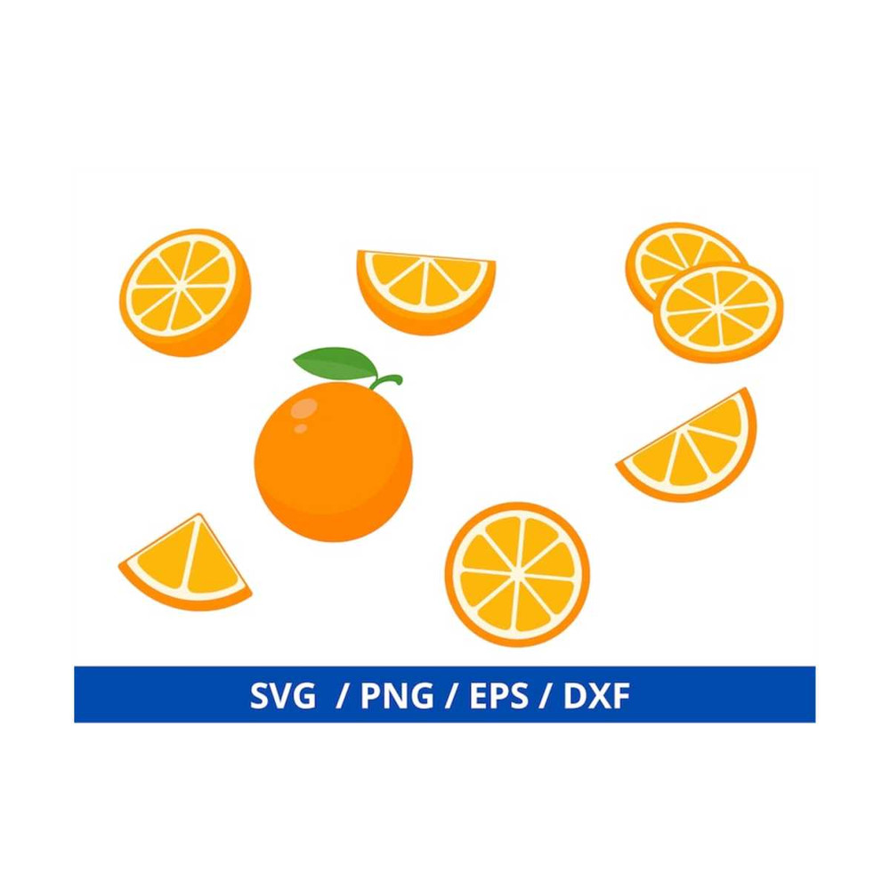MR-169202314438-orange-slice-svg-orang-bundle-svg-fruits-dxf-fruit-svg-image-1.jpg