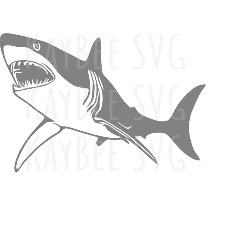 MR-1692023162333-illustration-of-a-great-white-shark.jpg
