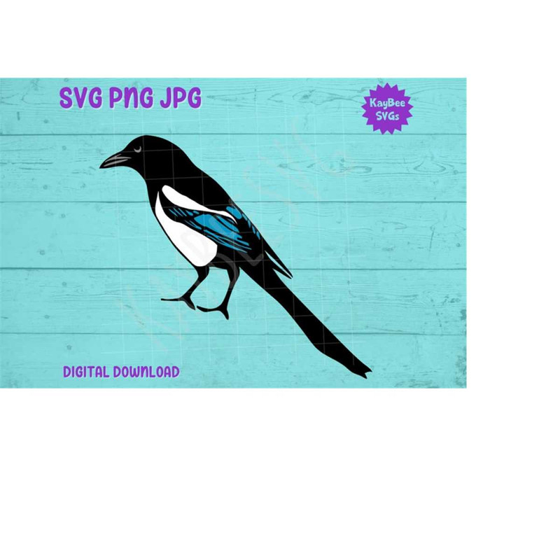 MR-1692023164556-magpie-bird-svg-png-jpg-clipart-digital-cut-file-download-for-image-1.jpg