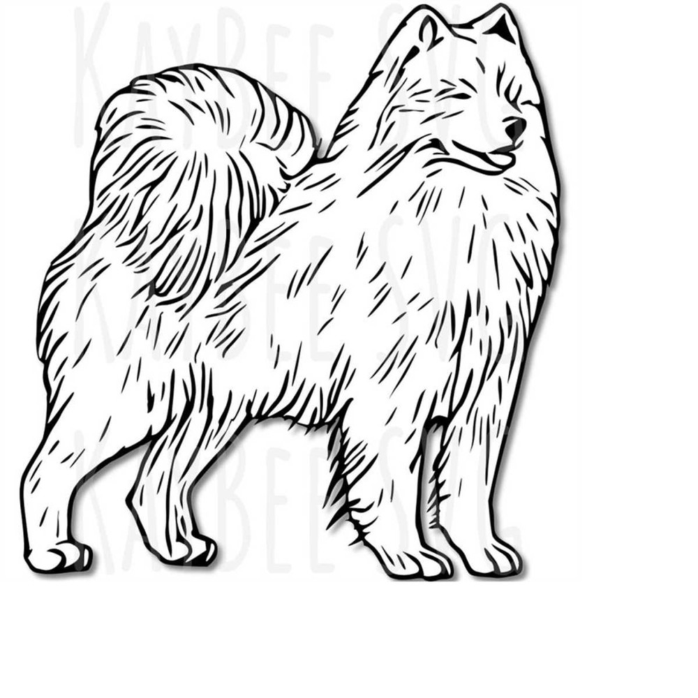 MR-1692023172554-samoyed-dog-illustration.jpg