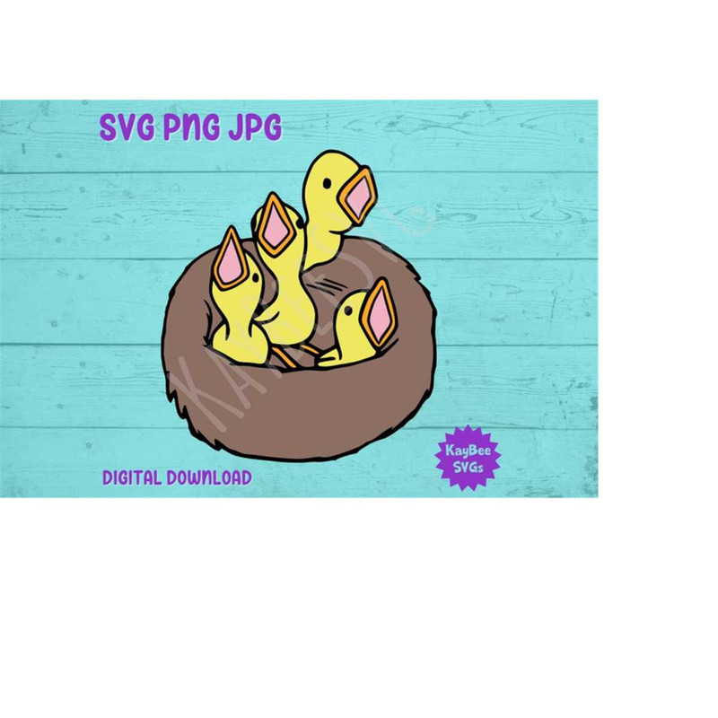 MR-1692023173625-baby-birds-in-nest-svg-png-jpg-clipart-digital-cut-file-image-1.jpg