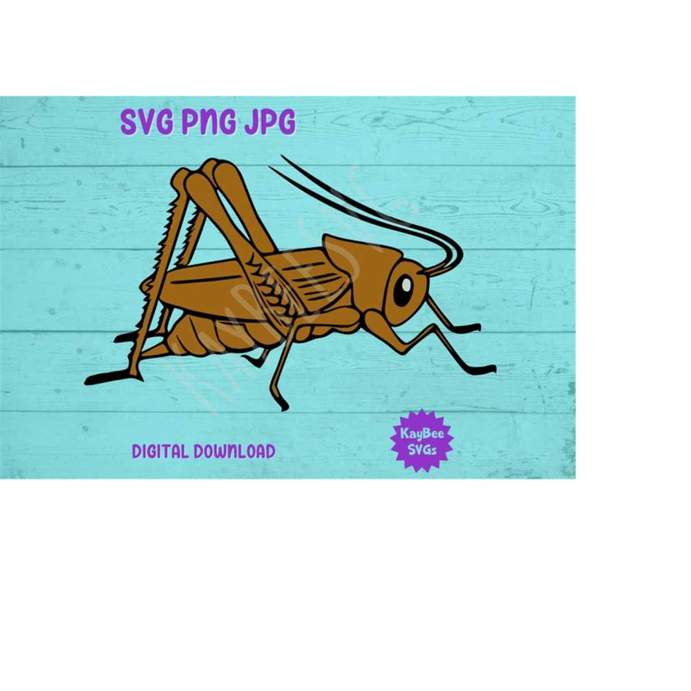 MR-1692023174655-cricket-insect-bug-svg-png-jpg-clipart-digital-cut-file-image-1.jpg