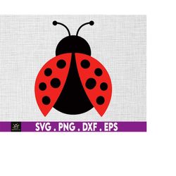 ladybug svg, bug svg, love bug svg, lady bug svg, ladybug cut file instant digital download files included!