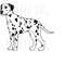 MR-1692023183950-dalmatian-dog-svg-png-jpg-clipart-digital-cut-file-download-image-1.jpg
