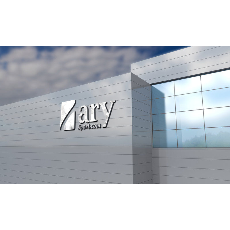 12 ARY Sport Building Logo Mockups 1.jpg