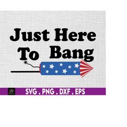 4th of july just here to bang svg, 1776 svg, american patriotic, the fourth of july, svg, png files for cricut sublimati