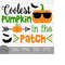 MR-179202304417-coolest-pumpkin-in-the-patch-halloween-sunglasses-image-1.jpg