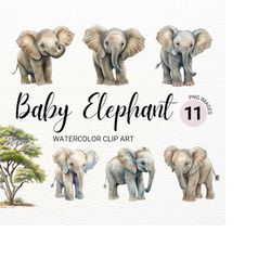 Baby Elephant PNG | Baby Animals Clipart | Watercolor Elephant Clipart | Elephant Baby Shower Clipart | Animal Clipart |
