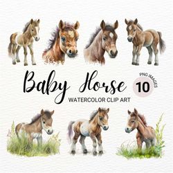 Baby Horse PNG | Horse Clipart | Watercolor Horse | Baby Animals | Western Clipart | Farm Animals PNG | Cute Horses Imag