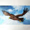 Bird-painting-on-canvas-board-framed-wall-decoration.jpg