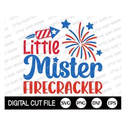 memorial day svg, 4th of july svg, little mister firecracker, independence day, fourth of july, american flag shirt, svg